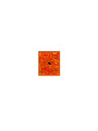 Pizza Carré